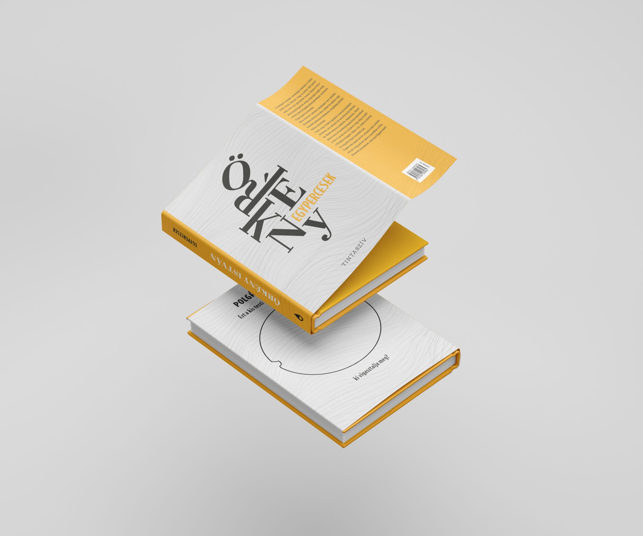書(shū)籍包裝設(shè)計(jì)